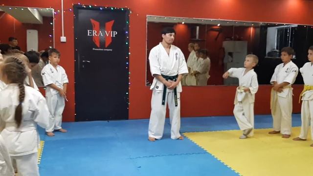 Уширо-Маваши Гери в падении. Тонкости выполнения смотреть онлайн