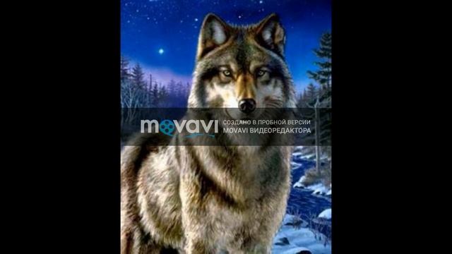 Блатной удар - Это Кавказ смотреть онлайн