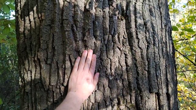 Новое знакомство