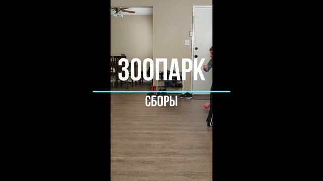День рождение сына в США, поход в зоопарк Сакраменто смотреть онлайн