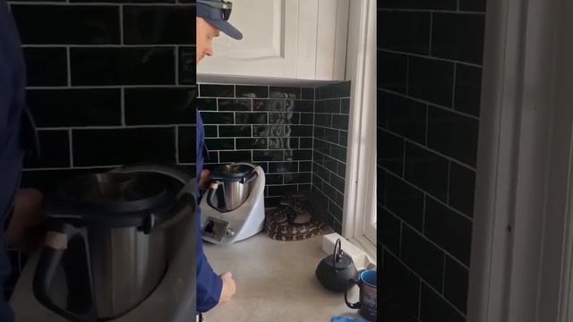 Catcher Removes 'Chunky' Carpet Python From Queensland Home смотреть онлайн