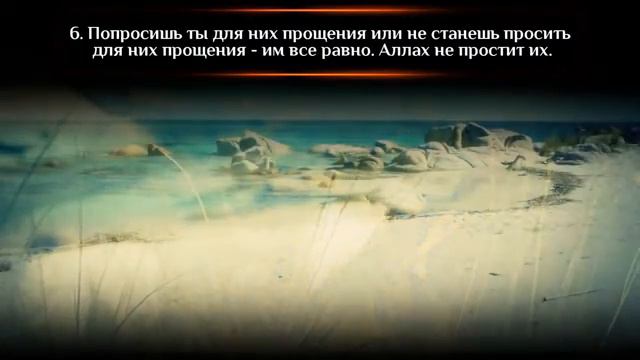 🌹Сура 63:"Лицмеры"чтец Салах Аль Хашами🌸 смотреть онлайн