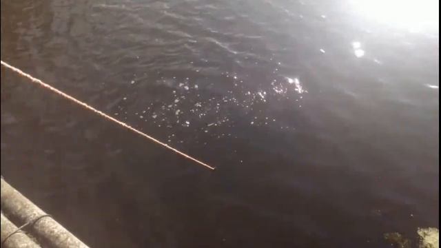 видео коп тула!поисковый магнит !ЧАСЫ!!!! смотреть онлайн