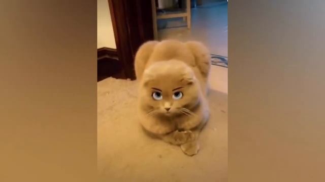 Забавные кубики. Подборка приколов. Vo41 смотреть онлайн