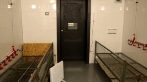 Фермерское хозяйство Илоранты. Обзор мини-птицефабрики для выращивания бройлеров.