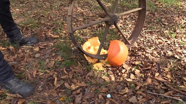 Pumpkin Killing Methods X смотреть онлайн