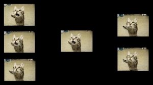 Супер Жорик - Золото (Meowsynth)