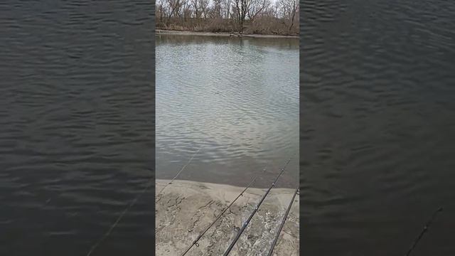 6 января 2024 г. смотреть онлайн