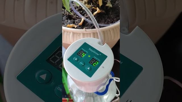 easy irrigation system (система капельного полива с таймером) смотреть онлайн