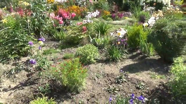 Прогулка по моему июльскому саду 2 часть ! смотреть онлайн