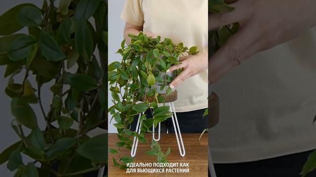 ilwi Подставка для цветов на подоконник металлическая из массива дерева лофт смотреть онлайн
