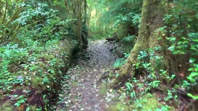 HOH RIVER, WA. Free Boondocking, Olympic Peninsula, Hoh Rain Forest, Raging River, смотреть онлайн