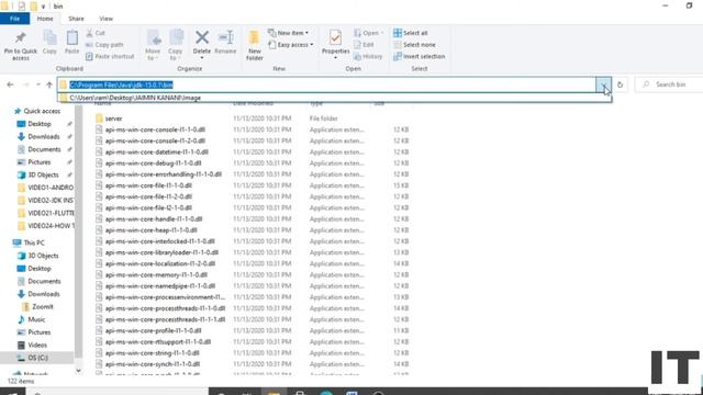 How to Download & install Java JDK on Windows 10 |Java Development Kit |Java | Shreya's Stuff смотреть онлайн