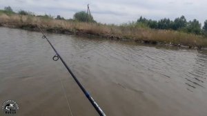 Рыбалка на пикер в мае. Бюджетный пикер отработал на все 100%