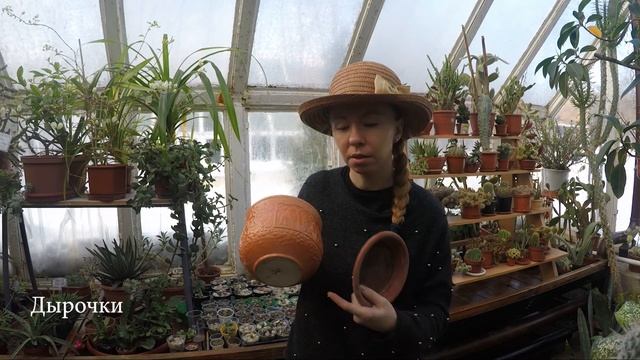 Всё про горшки взрослых литопсов, живых камней. Самое информативное видео смотреть онлайн