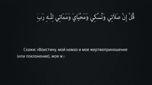 Аяты, которые важно знать всем! смотреть онлайн