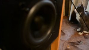 Microlab FC-550 bass test (54W)