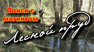 Поисковый магнит. Обследую лесной пруд
