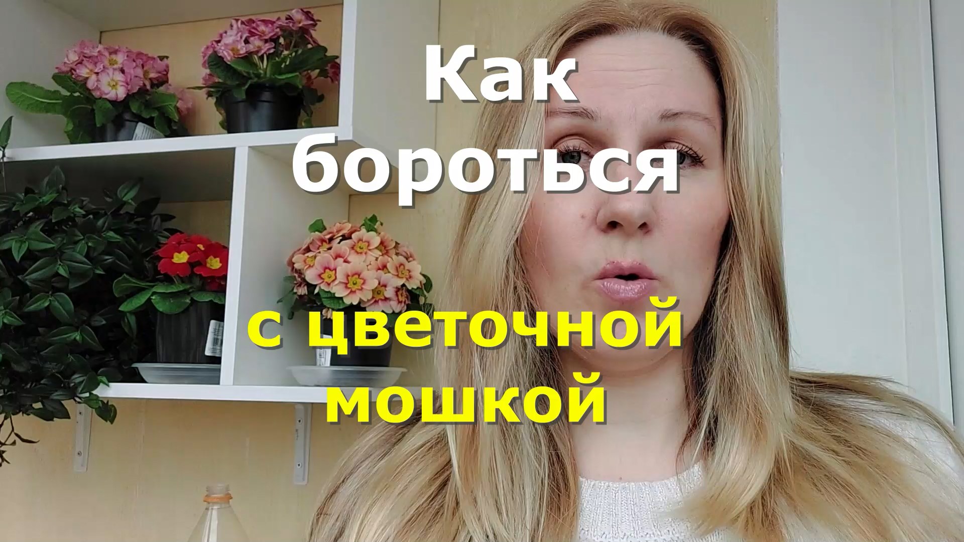 Как бороться с цветочной мошкой (грибным комариком) смотреть онлайн