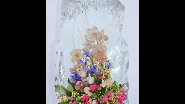 Выставка цветов снежной королевы смотреть онлайн