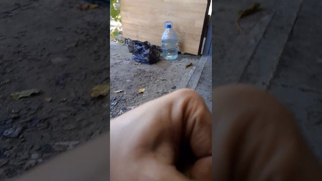 моторное масло mol 5w40 prima купленное в магазине pit line за 756 грн за канистру 4л, осенью 22ого смотреть онлайн