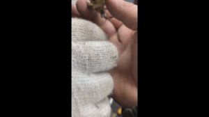 Свеча Планар 2д