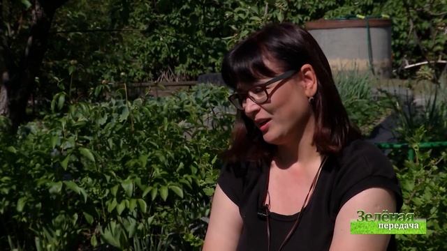 2020 06 04 Зелёная передача смотреть онлайн