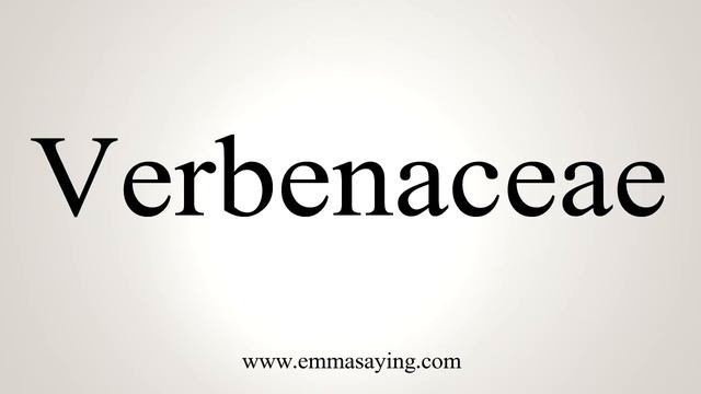 How To Say Verbenaceae смотреть онлайн