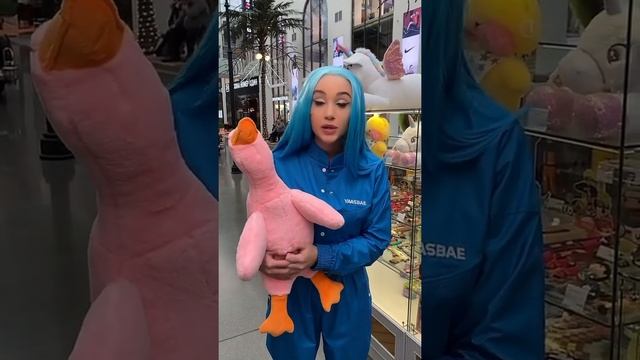 Почему петух так много поёт? ?