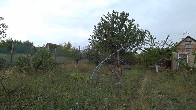 Купили дачу по соседству... Обзор фазенды смотреть онлайн
