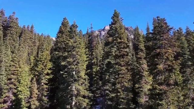 Успокаивающая музыка | музыка для сна смотреть онлайн