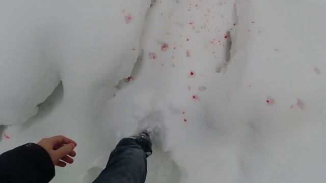 Странное письмо от Дианы и Дани, Хаги Ваги в реально жизни. Манкиту смотреть онлайн