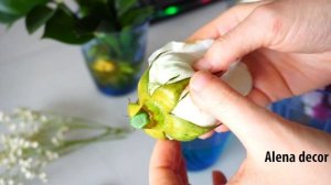 Стабилизация цветов, как стабилизировать цветы, мой опыт