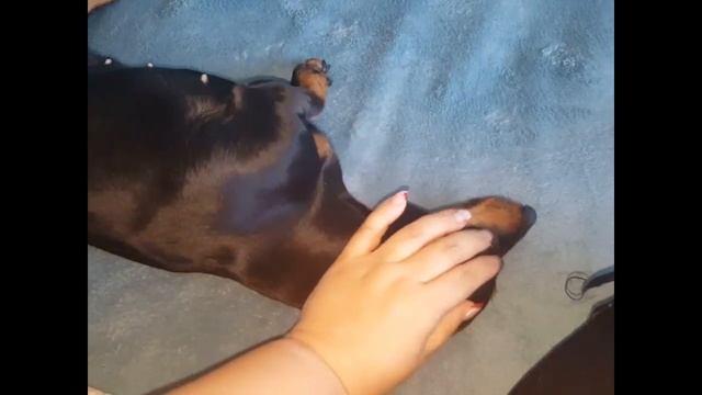 Первые признаки беременности. Целовашки, обнимашки. смотреть онлайн