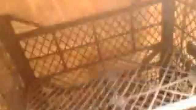 породия на обзор миши табуреткина мопед альфа смотреть онлайн