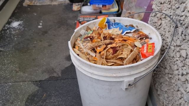 4141 Новый корм для червя смотреть онлайн