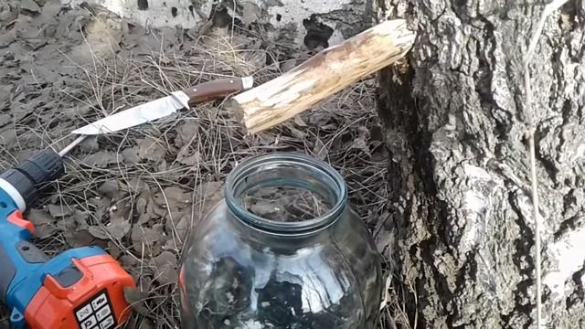 КАК СДЕЛАТЬ КРАНИК ДЛЯ СБОРА БЕРЁЗОВОГО СОКА