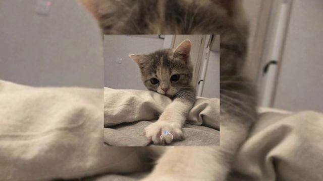 Подборка треков АПФС смотреть онлайн