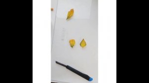 Мастер класс. Брошь-листочек из запекаемой полимерной глины.