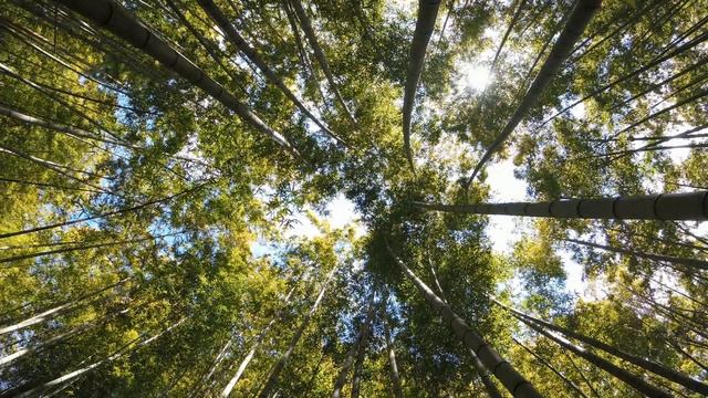 Soothing Music LoFi Beats for Relax, Meditate & Study #124 ? संगीत को आराम ? リラックス音楽 ? 음악을 이완하십시오 ? смотреть онлайн