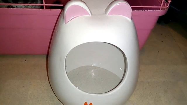 Ссаживание шиншилл. Как правильно ссаживать смотреть онлайн