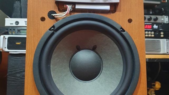 Sub Yamaha SW305 Cực Chất || Mạnh Thời Audio смотреть онлайн