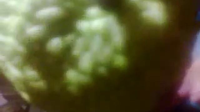 Странный фрукт смотреть онлайн
