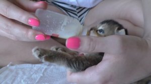 УТРО КОТЁНКА БЕЗ ЛАПКИ | СЛАДУН УЧИТСЯ ХОДИТЬ