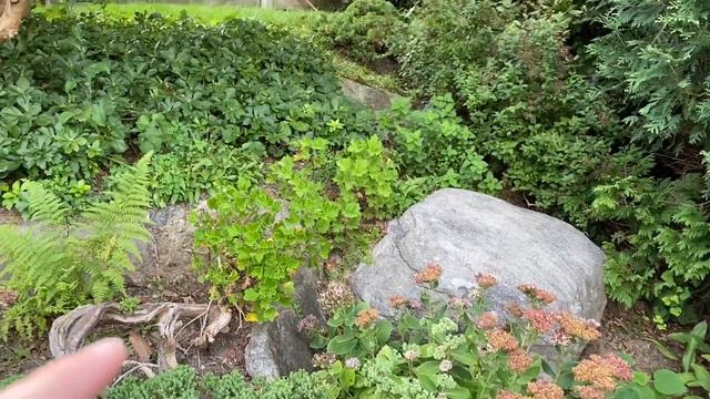 September Rock Garden Tour! 2021 смотреть онлайн