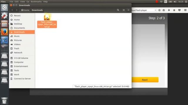[NEW]Install flash player on Ubuntu for Firefox, No terminal or super user needed смотреть онлайн