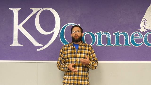 Counter Conditioning - Don't make the simple mistake смотреть онлайн