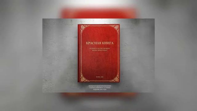В России впервые за 23 года изменили список животных в Красной книге смотреть онлайн