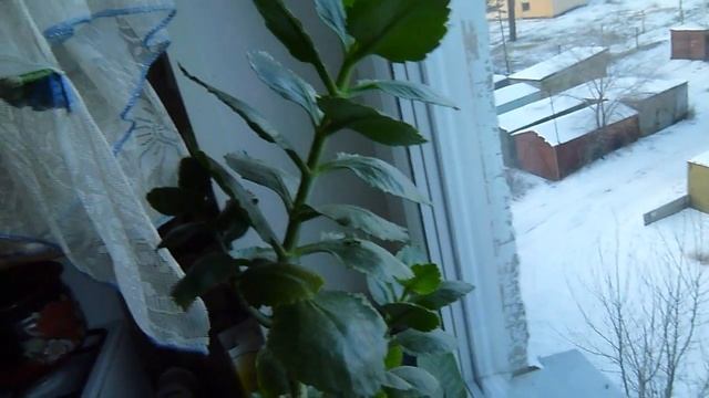 Lumix DMC-FX70 (Video Test) смотреть онлайн