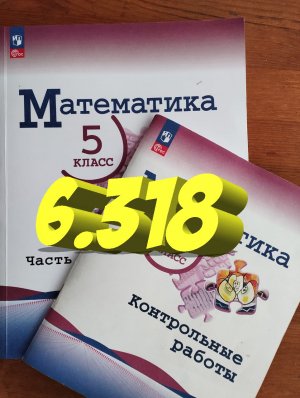 математика 5 класс номер 6.318